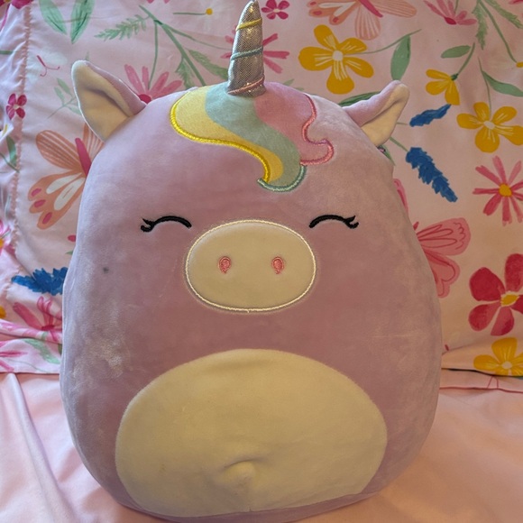 Squishmallows Other - Lot of Squishmallows 4 different ones see pics